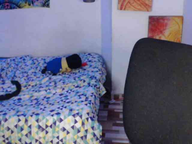 dakkohott webcam