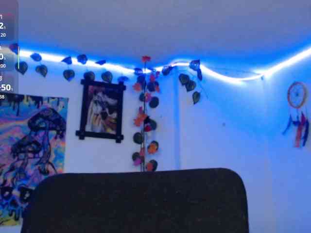 dakkohott webcam