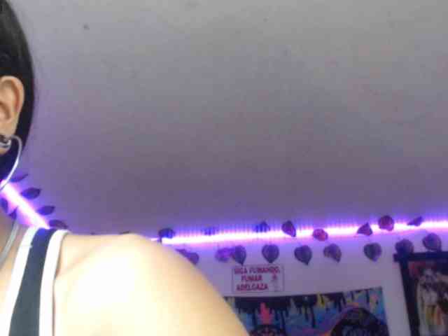 dakkohott webcam
