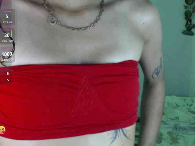 dakkohott webcam