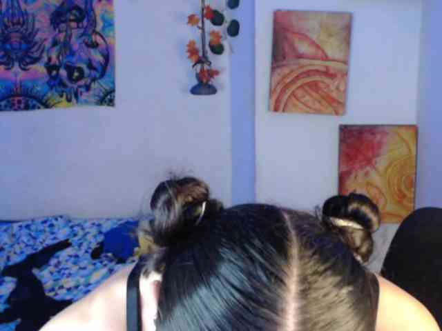 dakkohott webcam