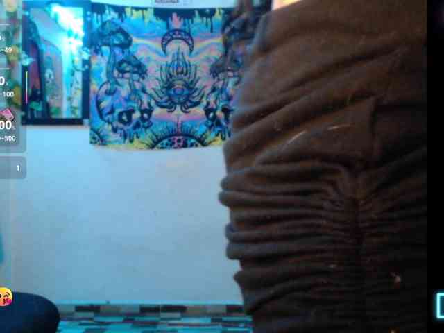 dakkohott webcam
