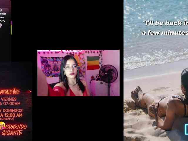 dakkohott webcam