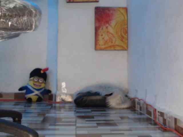 dakkohott webcam