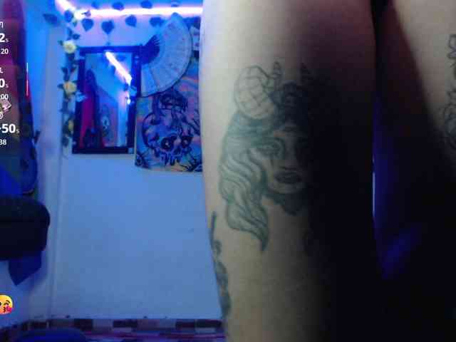 dakkohott webcam