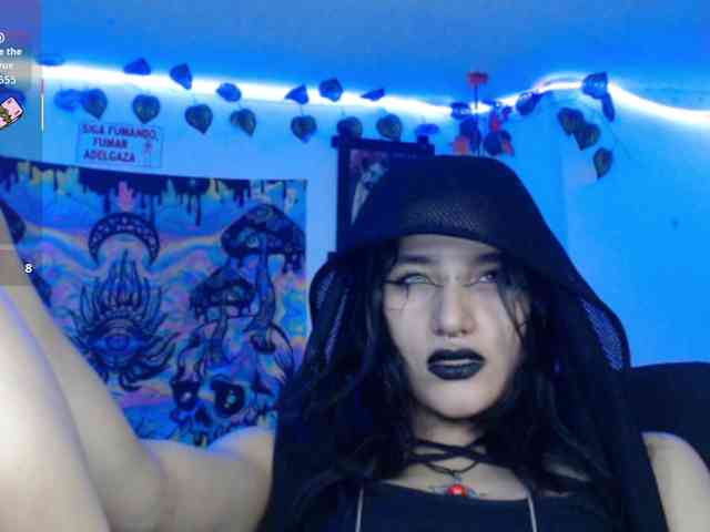 dakkohott webcam