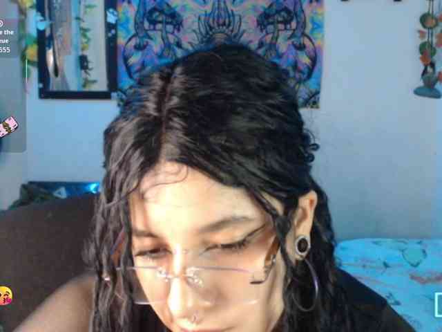 dakkohott webcam
