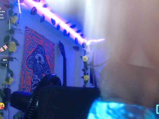 dakkohott webcam