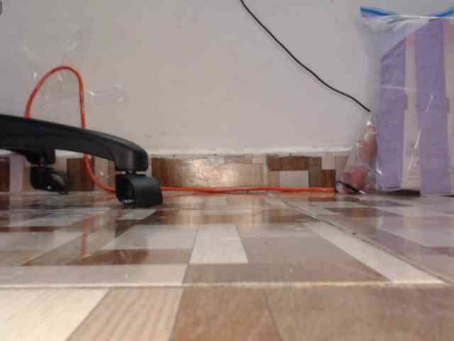 dakkohott webcam