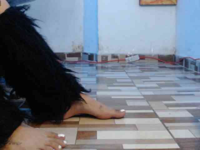 dakkohott webcam