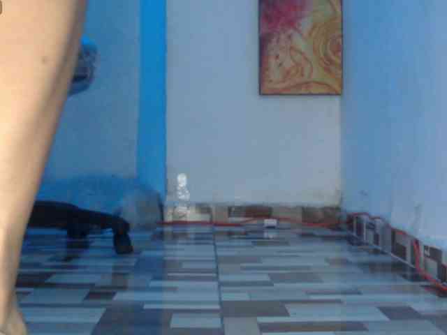 dakkohott webcam