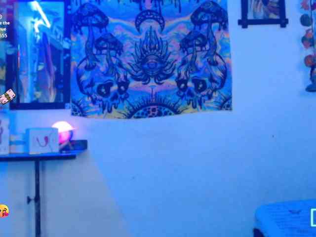 dakkohott webcam