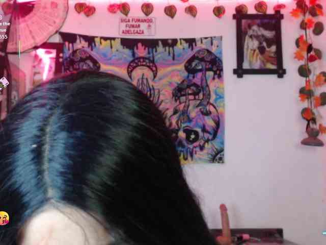 dakkohott webcam