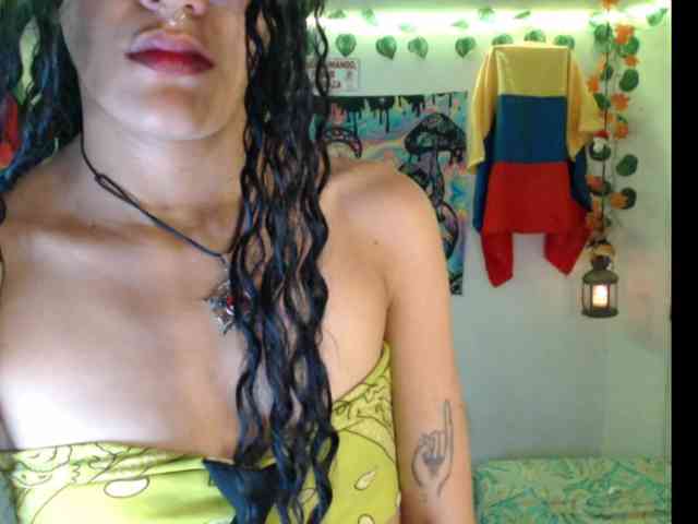 dakkohott webcam