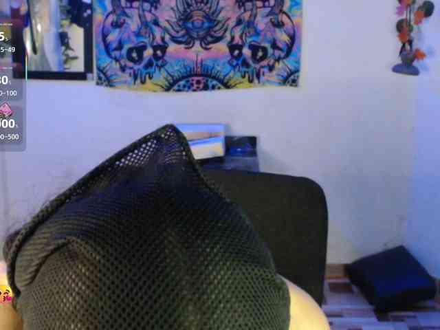 dakkohott webcam