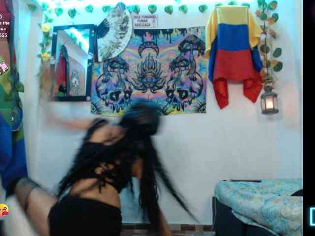 dakkohott webcam