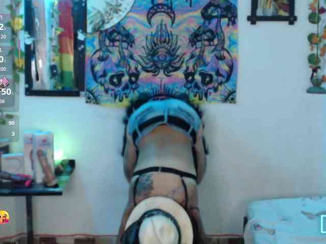dakkohott webcam
