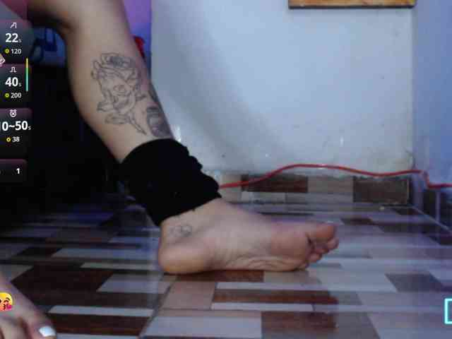 dakkohott webcam