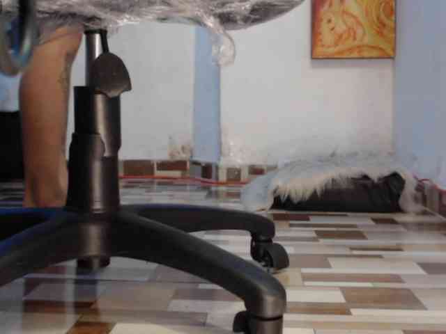 dakkohott webcam
