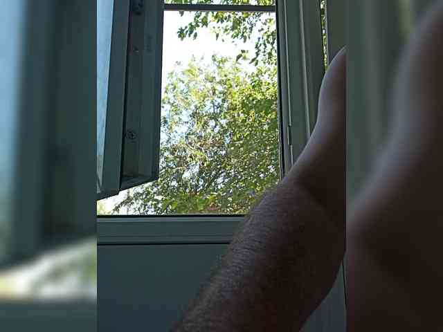Anton11661 Sex Cam Show