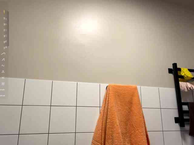 EmeritaFroehner webcam