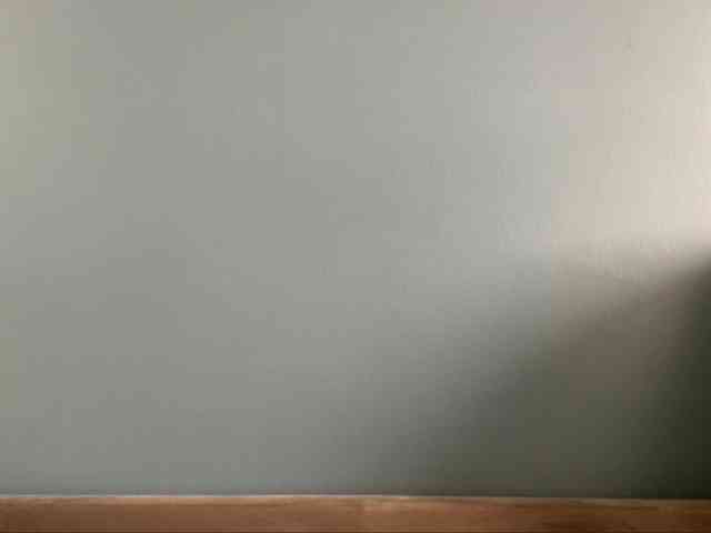EmeritaFroehner webcam