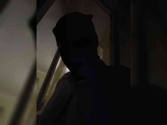 Model: DoubleTalk