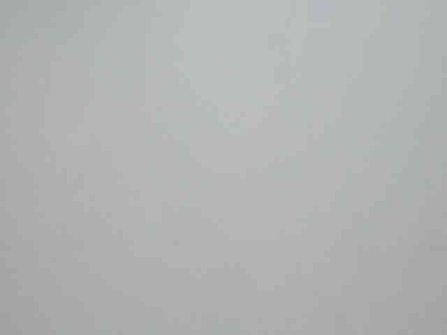 BellaRose- webcam