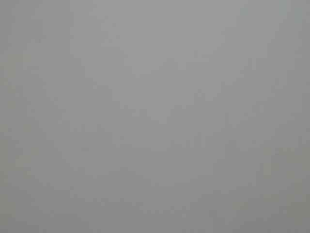 BellaRose- webcam