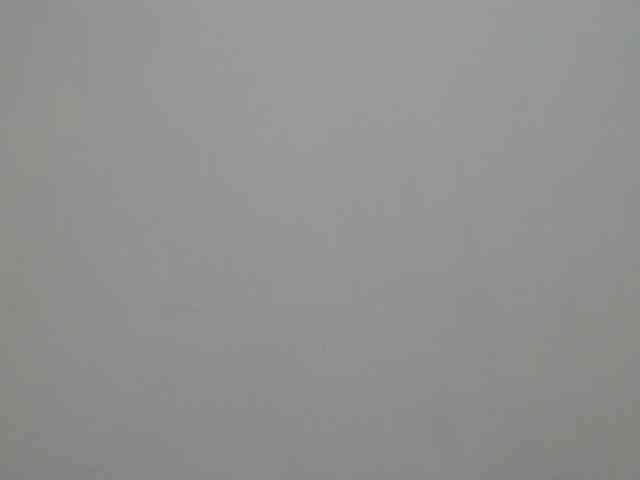 BellaRose- webcam