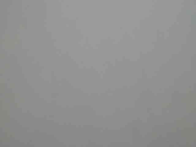 BellaRose- webcam