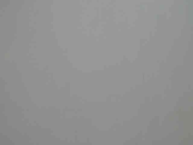 BellaRose- webcam