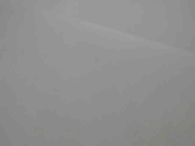 BellaRose- webcam
