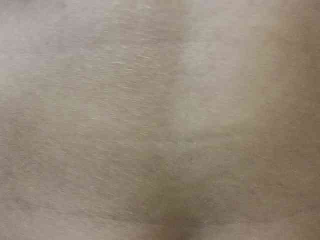 BellaRose-