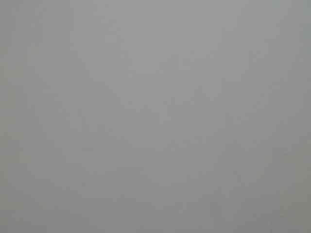 BellaRose- webcam