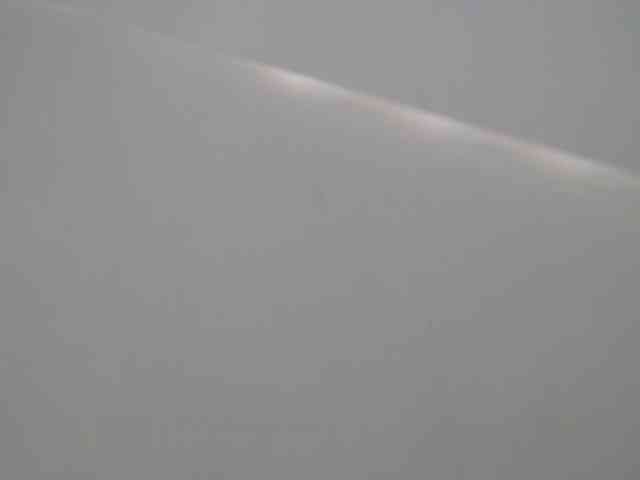 BellaRose- webcam