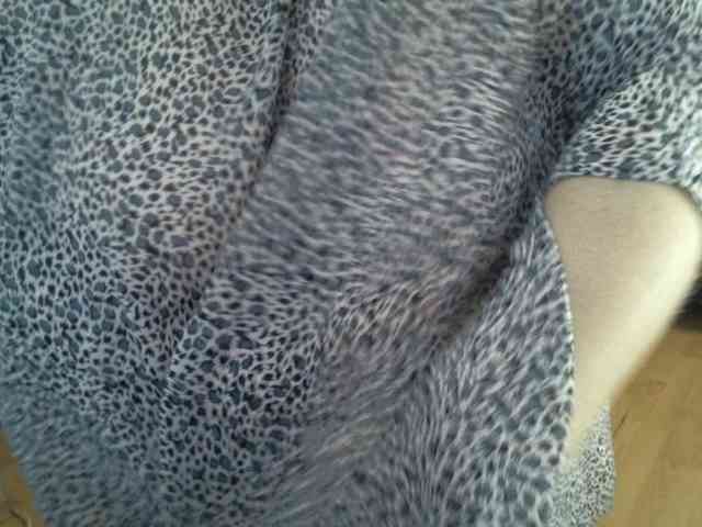 AgilaMipo