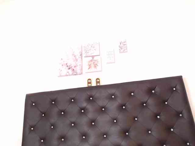 ladyblush