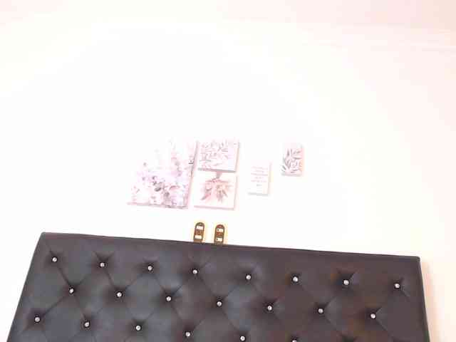 ladyblush webcam