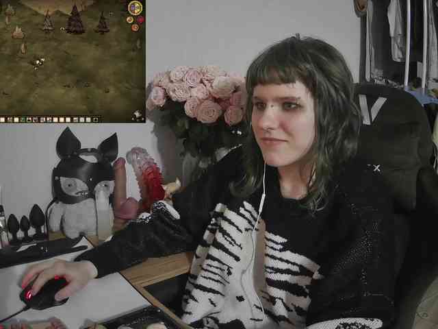 murya webcam