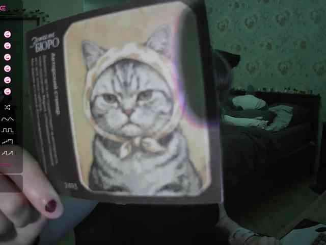 murya webcam