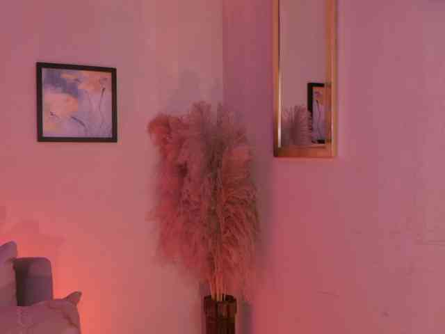 MaraVelvett- webcam