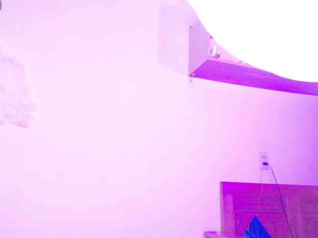 BrILLianteBarb webcam