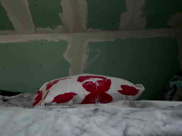 YasmineDrakulic webcam