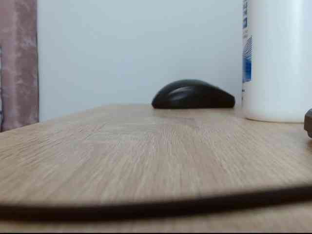 Tiiana webcam