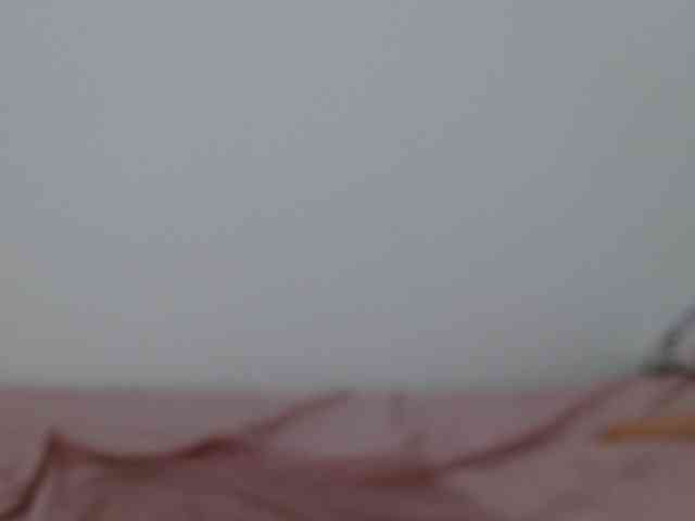 Tiiana webcam