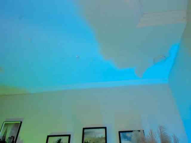 Sofia-Velvet webcam