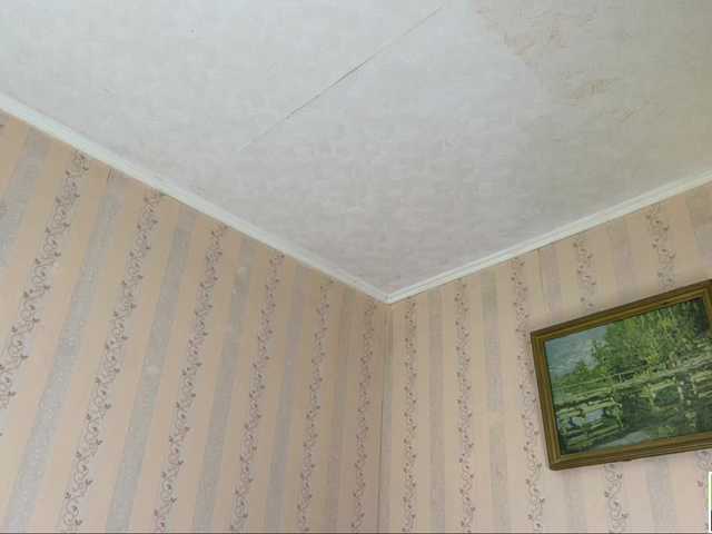 ialiceland live webcam show