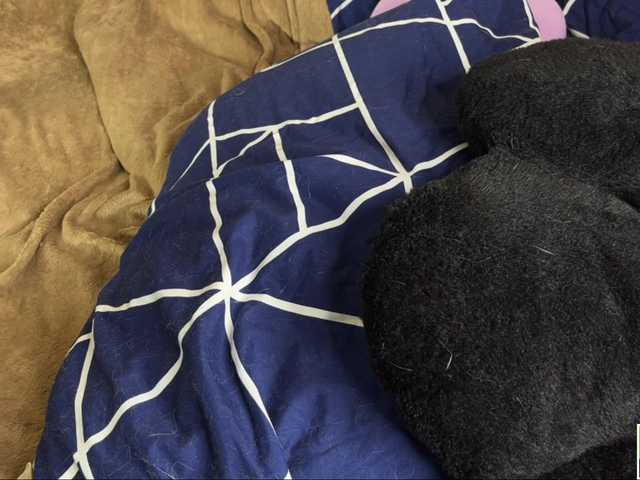 ialiceland live cam on BongaCams