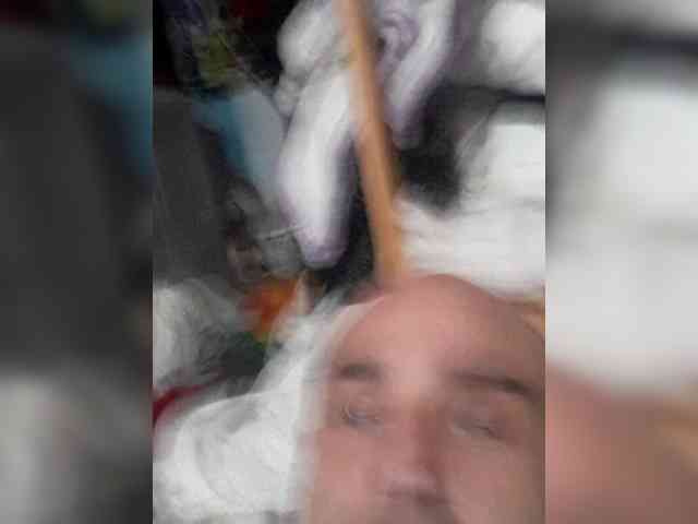 bulbasaurismettv1 bulbasaurismettv1